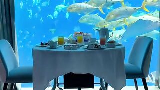 Luxury lifestyle 9
