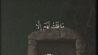 Islamic video chat 6