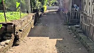 pedesaan