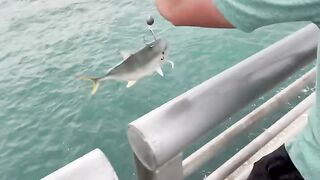 Big Baits Catch Big Fish