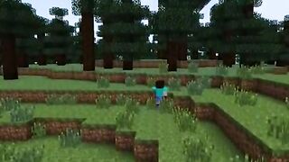 ???? Evolution of Steve Minecraft