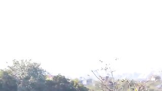 Anaconda snake