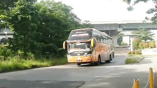 PREMIUM ORA UMUM ???? #shorts #huntingbus #busmania #basuri #telolet