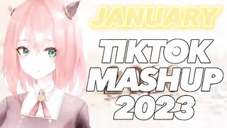 Best Tiktok mashup January 2023!