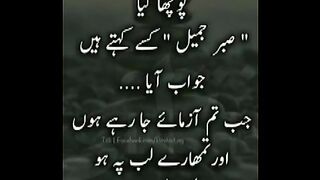 beautiful lines