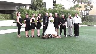 Wedding Pets | Funny Pets Video Compilation