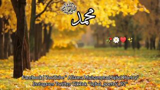 Allama Muhammmad iqbal beautiful poetry