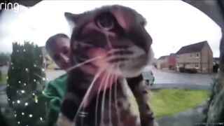 best video jokes