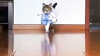 Funny????????????????