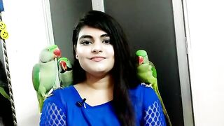 train parrot