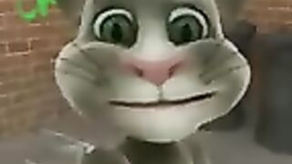 Talking_Tom_-_(Old_Version_from_2010-2016)_(All_Animations)_(Longer_Version)(144p).