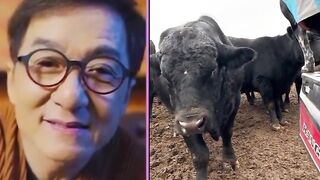 Jackychan Funny Reaction memes