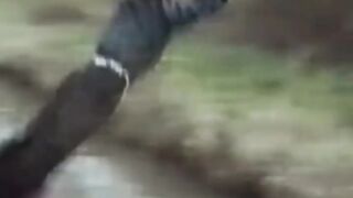 ???????? funny video EP -98????????