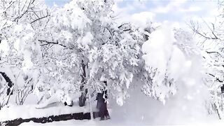 Snow falling romantic scene