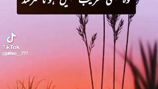 Beautiful gazal |febspot|SRAACREATORS