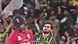 Shaheen
