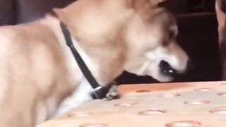 When your friend steals the last piece of food...