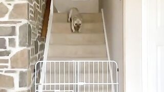 POV: You ignored the warning signs