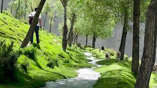 Viral link esut student leak video esut trending video esut student leak esut trending news naijared full HD