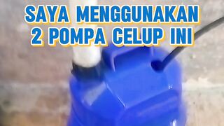 2 Pompa andalan saya disegmen pembenihan dan pendederan