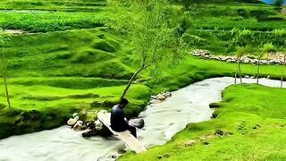 This Pakistan