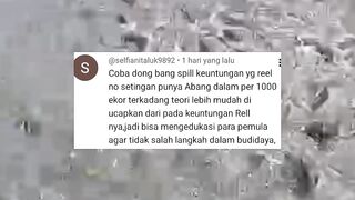 FAKTA Budidaya Lele 1000 ekor❗Banyak yang GAGAL FAHAM