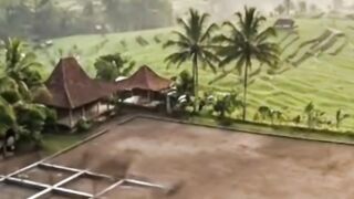 JAVANES HOUSE