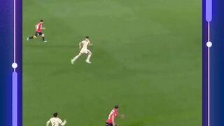 7meter 248