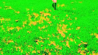 #tagg####