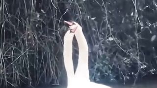 ❤️????❤️