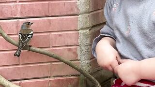 Tiny Bird Lands on Her Hand ????❤️