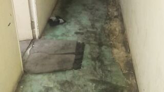 Room cleaned