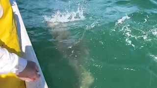 Monster Fish Strike! Insane Deep Sea Fishing Fight ????????