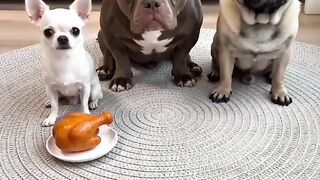 Great surprise.