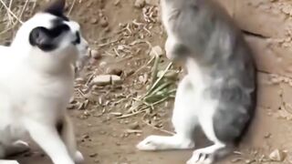Defend yourself, sir!