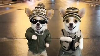 Cute dance 8