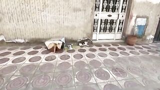 Mama the cat is very happy to see us because she will get love, food, and medicine for her kittens