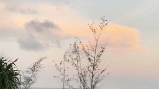 Nature 302