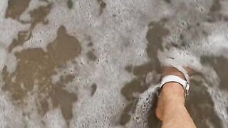 Sea life 3