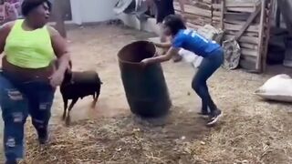 You Can't Run From a Ram..