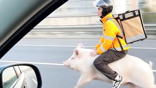 Funny video