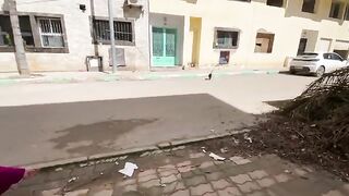 Two cute little kittens want love, while the other kittens only come when it's time to eat.