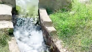 Peaceful village Lifestyle