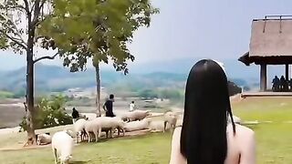 福布斯公司平台