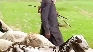 Simple people of the village