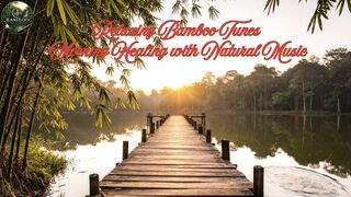 Relaxing Bamboo Tunes - Morning Healing with Natural Music