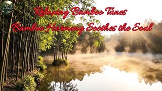 Relaxing Bamboo Tunes - Bamboo Harmony Soothes the Soul