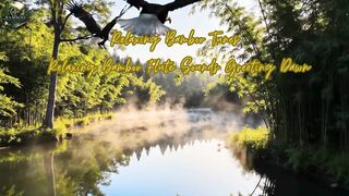 Relaxing Bamboo Tunes - Relaxing Bamboo Flute Sounds Greeting Dawn