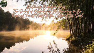 Relaxing Bamboo Tunes - The Sound of Bamboo in the Morning in the Tropical Forest Adds to the Calm of the Soul