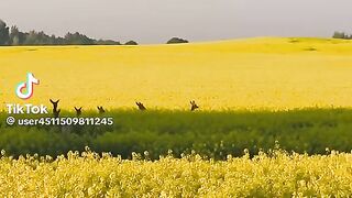 Beautiful View 19